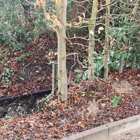 بيت للعطل Veluws