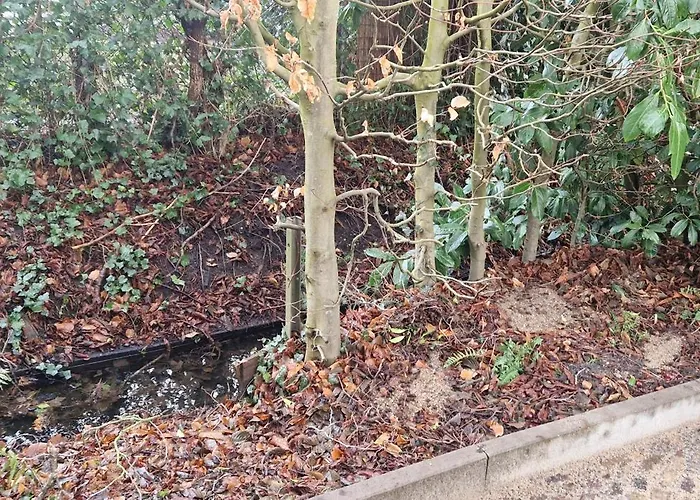 Semesterbostad Veluws